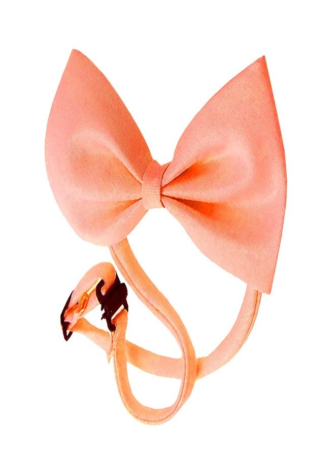 Nema NM Nema Fashion Dog Bowknot Tie - Orange - Image 4